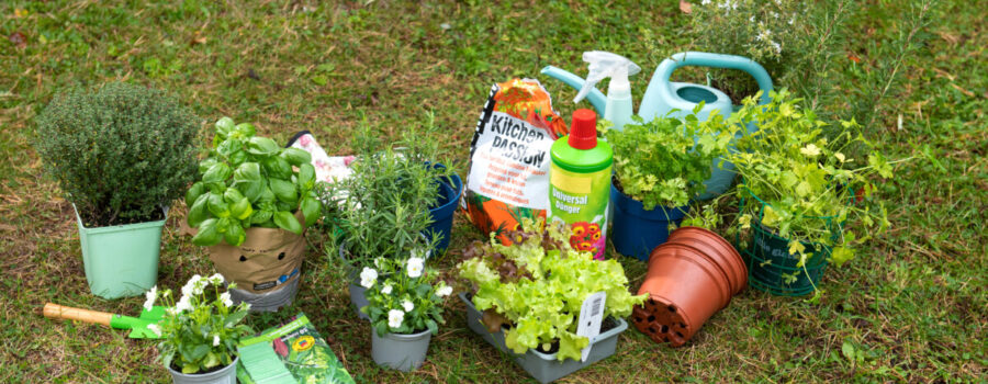 Tipps zur Gartensaison: Pflanztöpfe, Verpackungen und andere Gartenabfälle richtig entsorgen